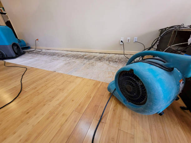 Professional Water Damage Repair technician working in Blue Hill, ME